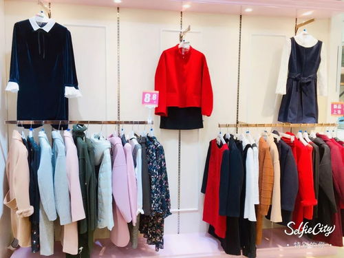 服裝服飾 女性購買決策中的關(guān)鍵因素